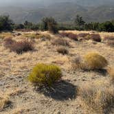 Review photo of Pinyon Flat Campground (San Bernardino National Forest) — San Bernardino National Forest by Andrew M., April 4, 2021