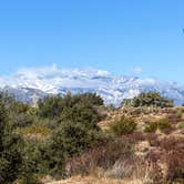 Review photo of Pinyon Flat Campground (San Bernardino National Forest) — San Bernardino National Forest by Andrew M., April 4, 2021