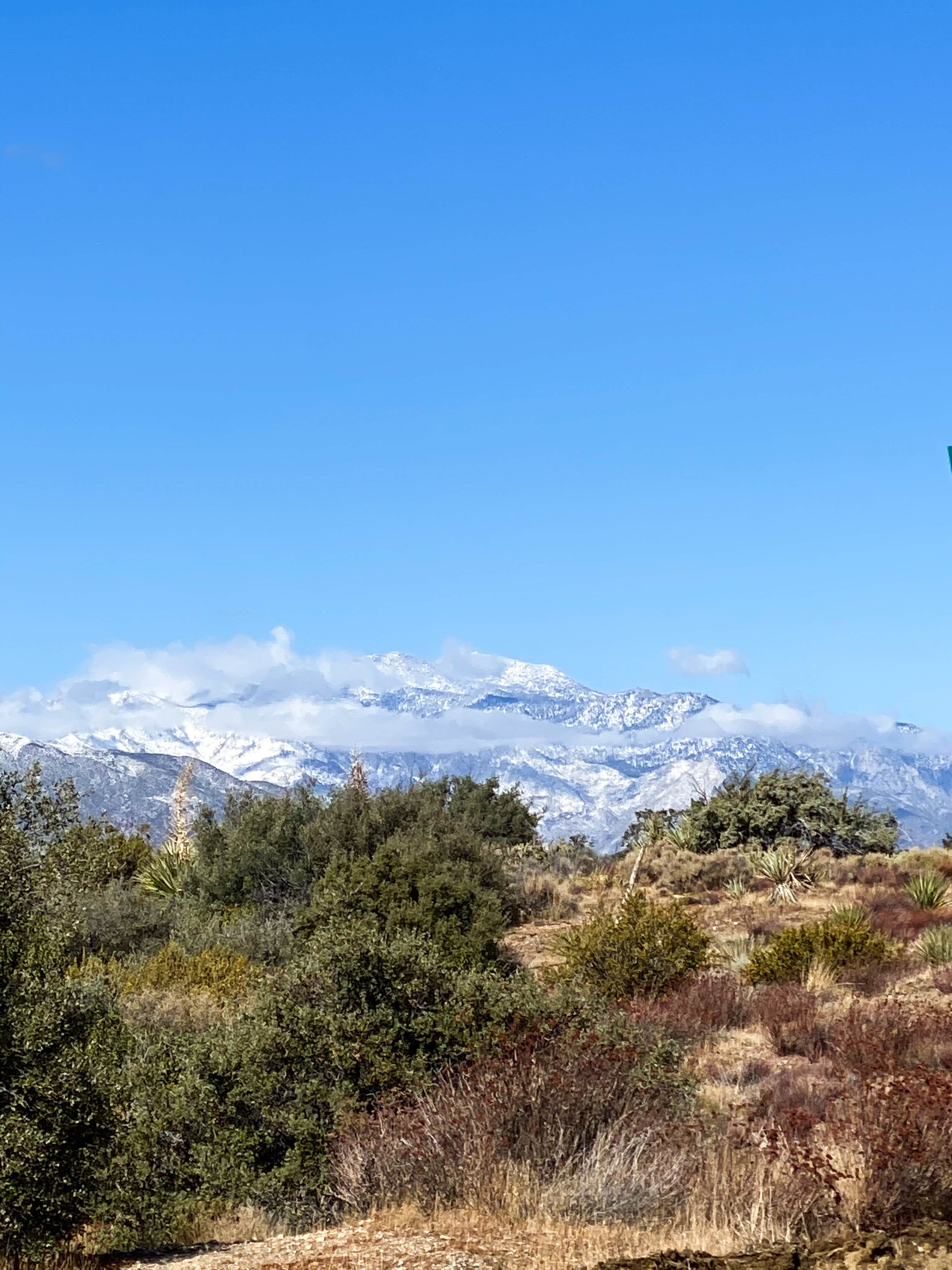 Camper submitted image from Pinyon Flat Campground (San Bernardino National Forest) — San Bernardino National Forest - 5