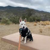 Review photo of Pinyon Flat Campground (San Bernardino National Forest) — San Bernardino National Forest by Andrew M., April 4, 2021