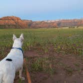 Review photo of Zion Wright Family Ranch by Andrew M., April 4, 2021