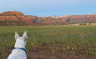 Andrew M.'s photo of camping with pets at Zion Wright Family Ranch near Zion National Park