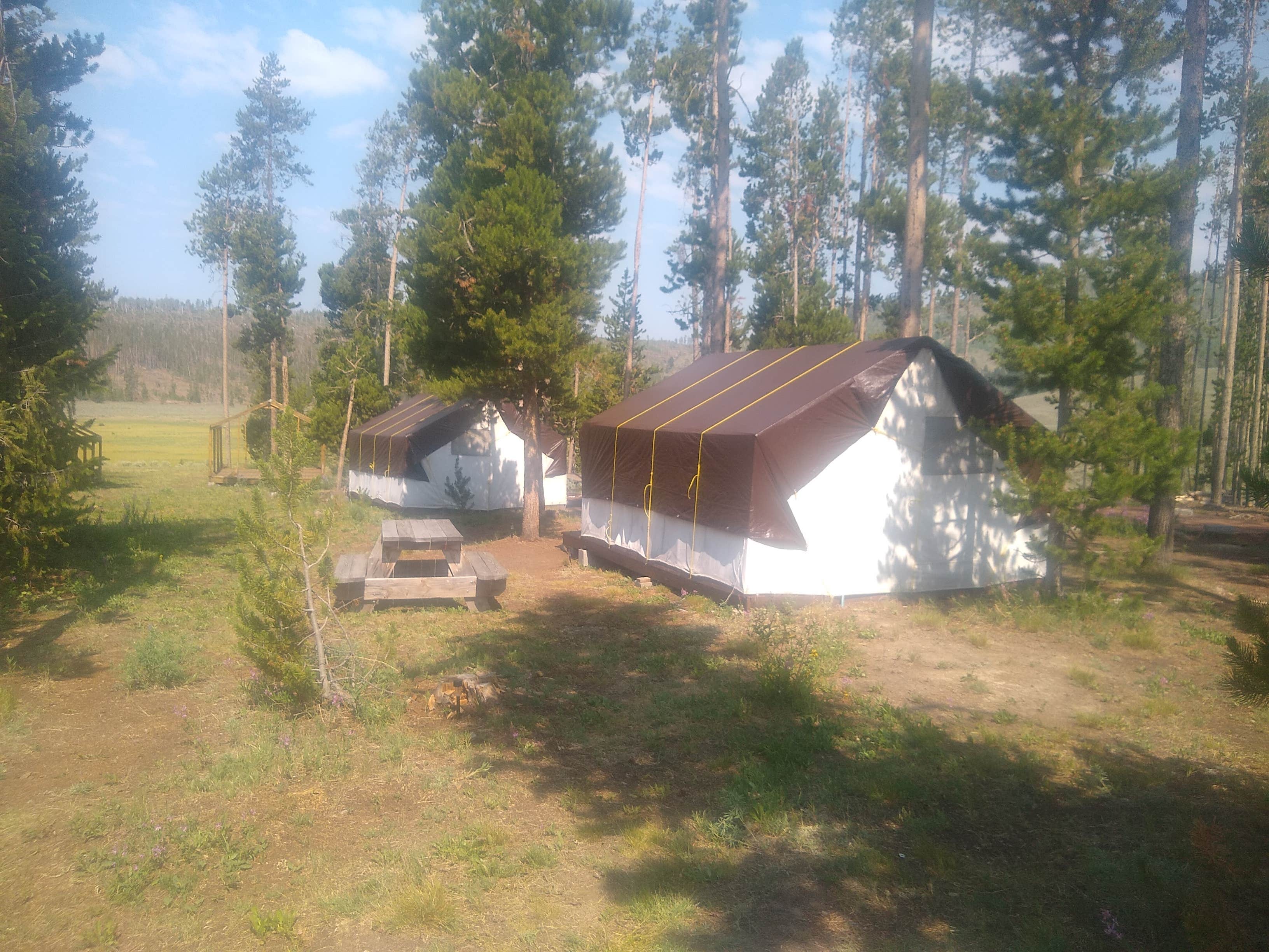 Camper-submitted photo at White Pine Wyoming, Ski and Summer Resort near Boulder, WY