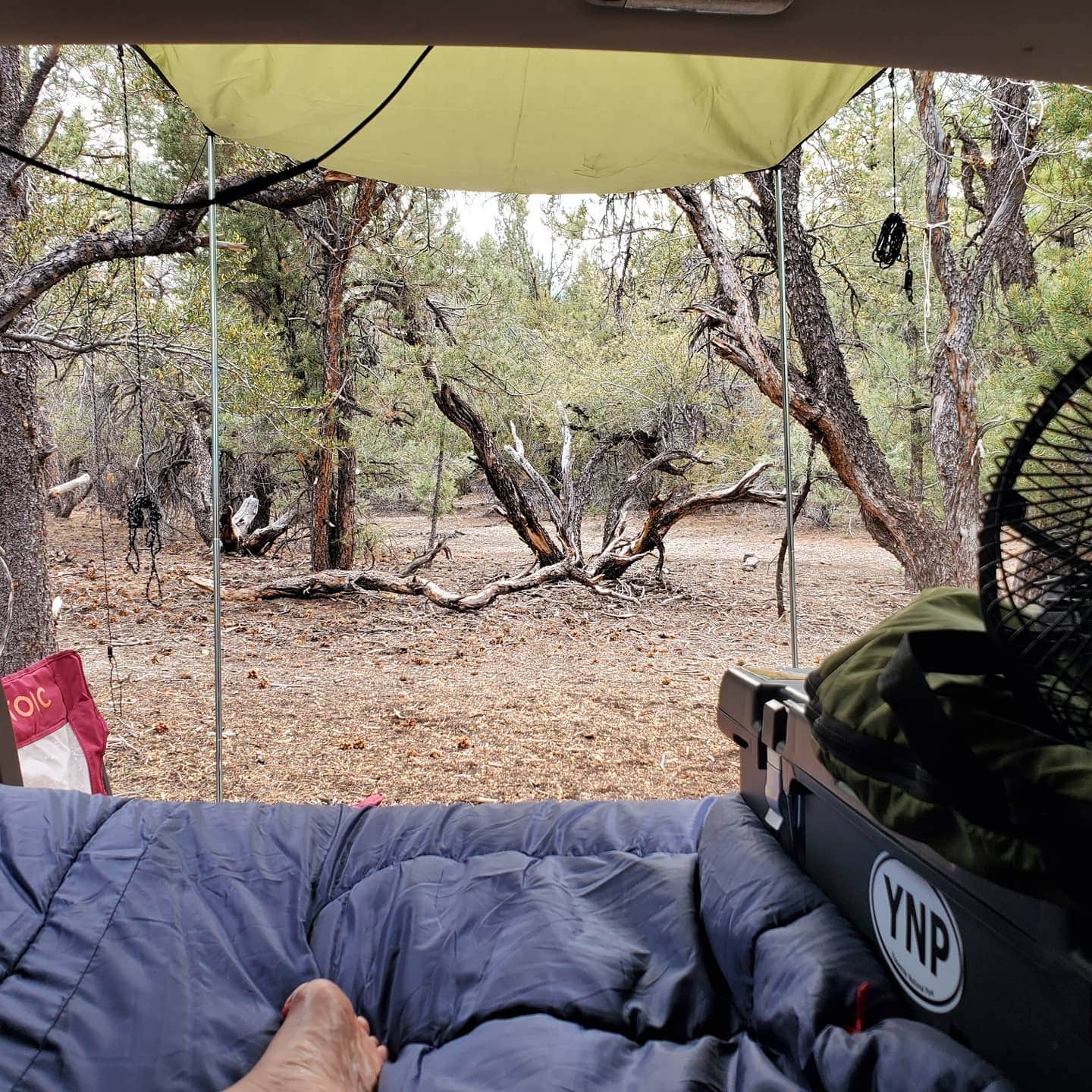 Cez A.'s photo at Champion Road Dispersed Campsites in Nevada