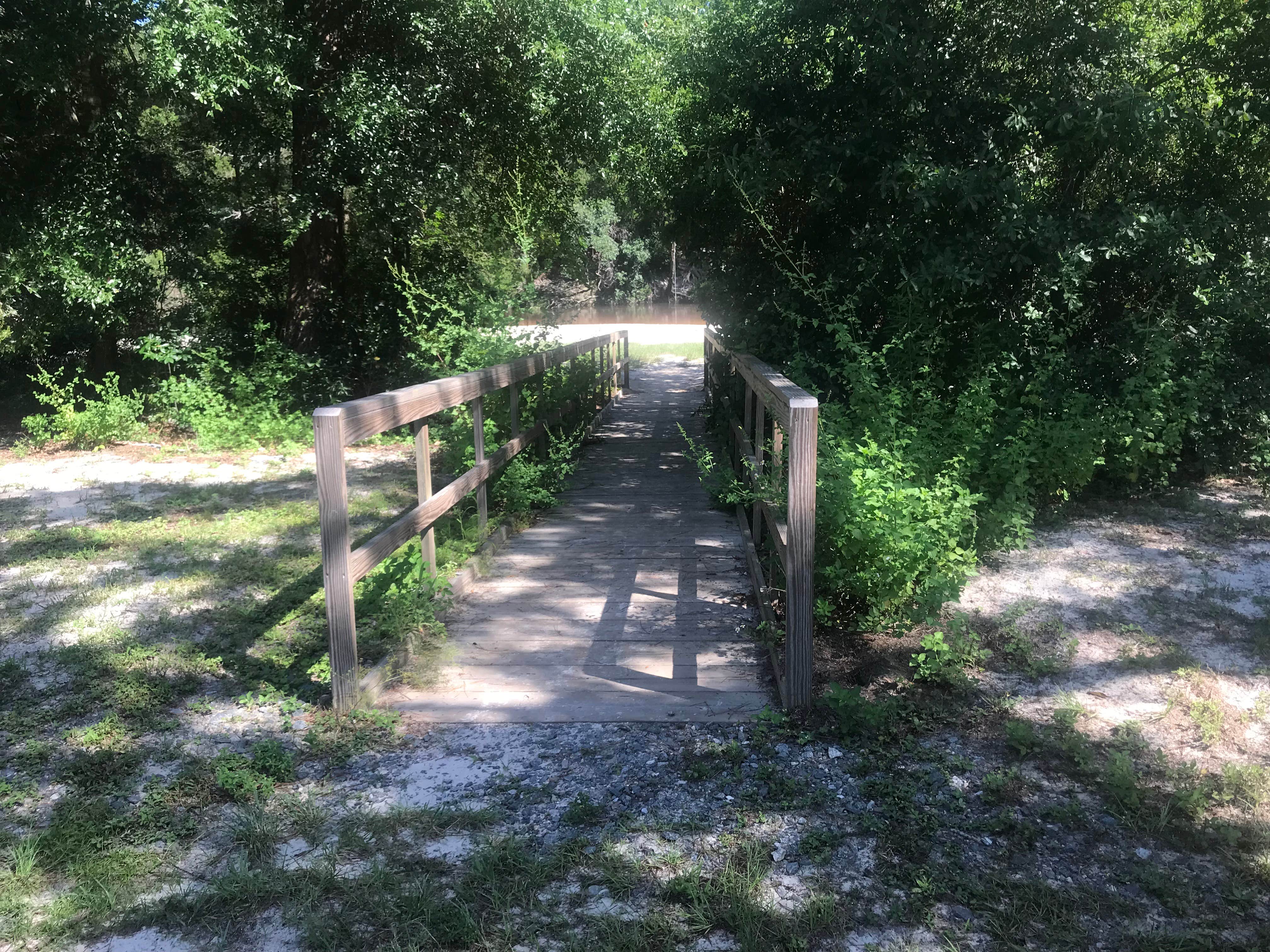 Camper-submitted photo at Coldwater Equestrian Campground — Blackwater River State Forest near Mary Esther, FL