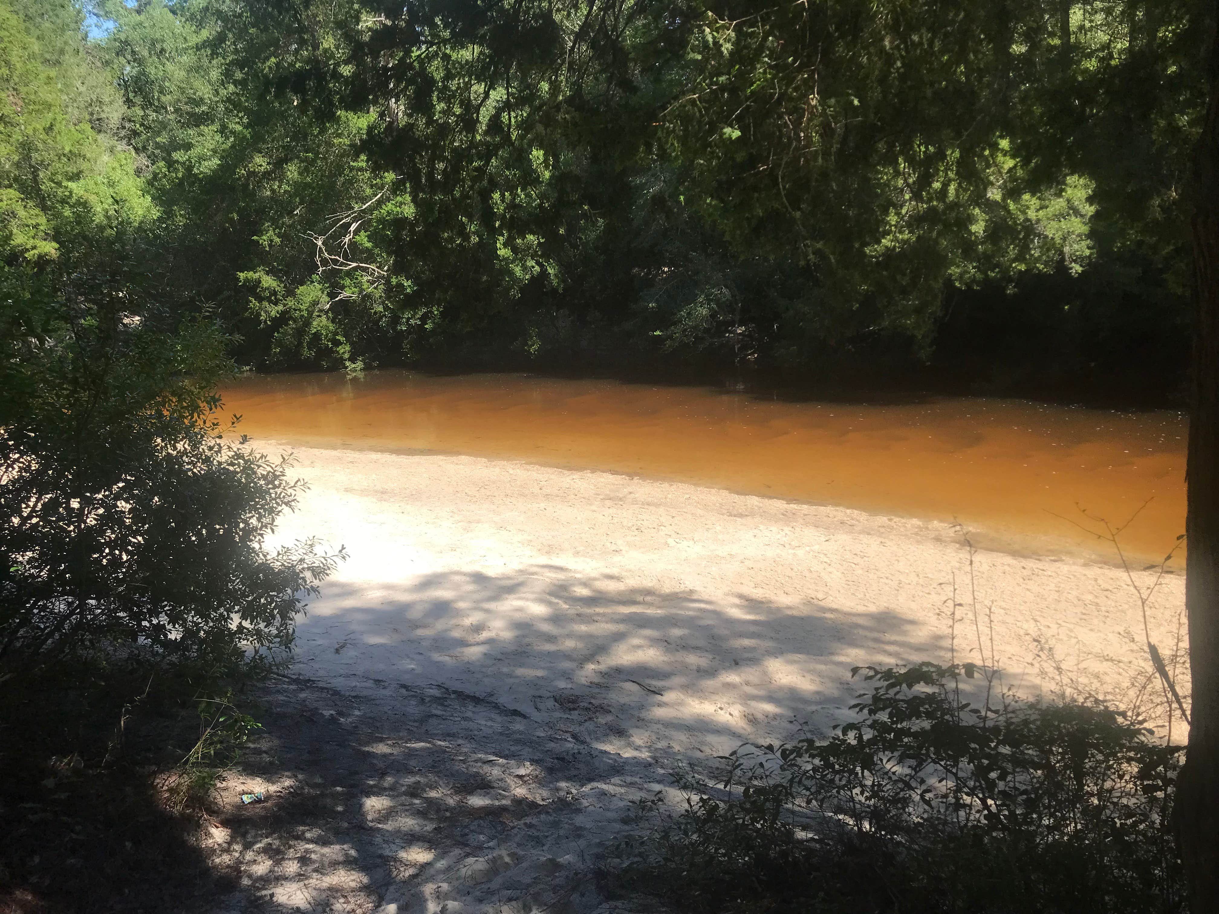 Camper-submitted photo at Coldwater Equestrian Campground — Blackwater River State Forest near Mary Esther, FL