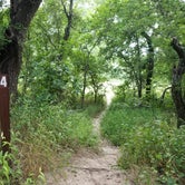 Review photo of Dinosaur Valley State Park — Dinosaur Valley State Park by Alexandra , July 16, 2021