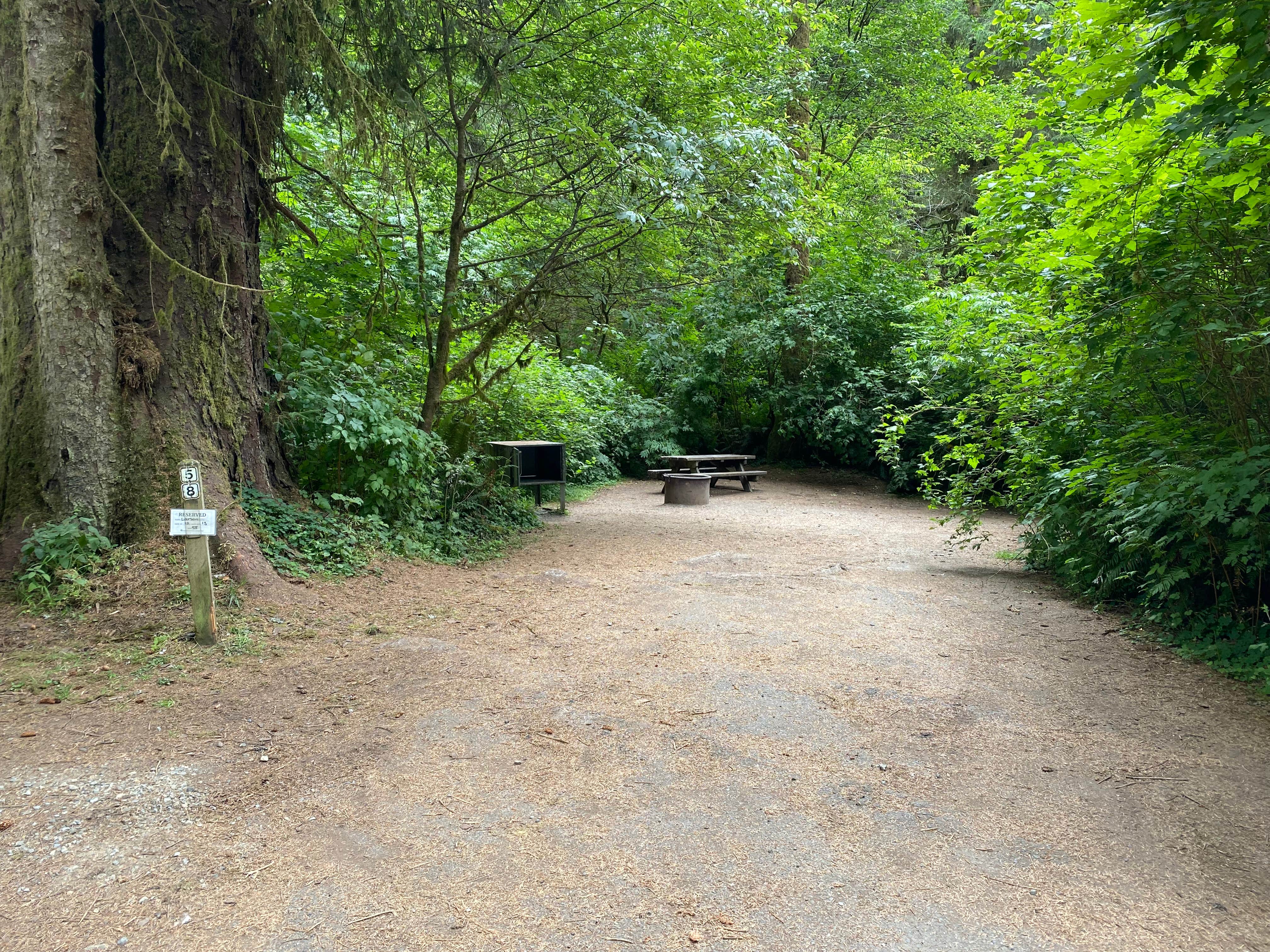Elk Prairie Campground, Prairie Creek Redwoods | The Dyrt