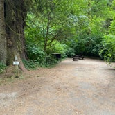 Review photo of Elk Prairie Campground — Prairie Creek Redwoods State Park by Nicole A., July 16, 2021