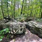 Review photo of Cedars of Lebanon State Park Campground by Katie D., July 16, 2021