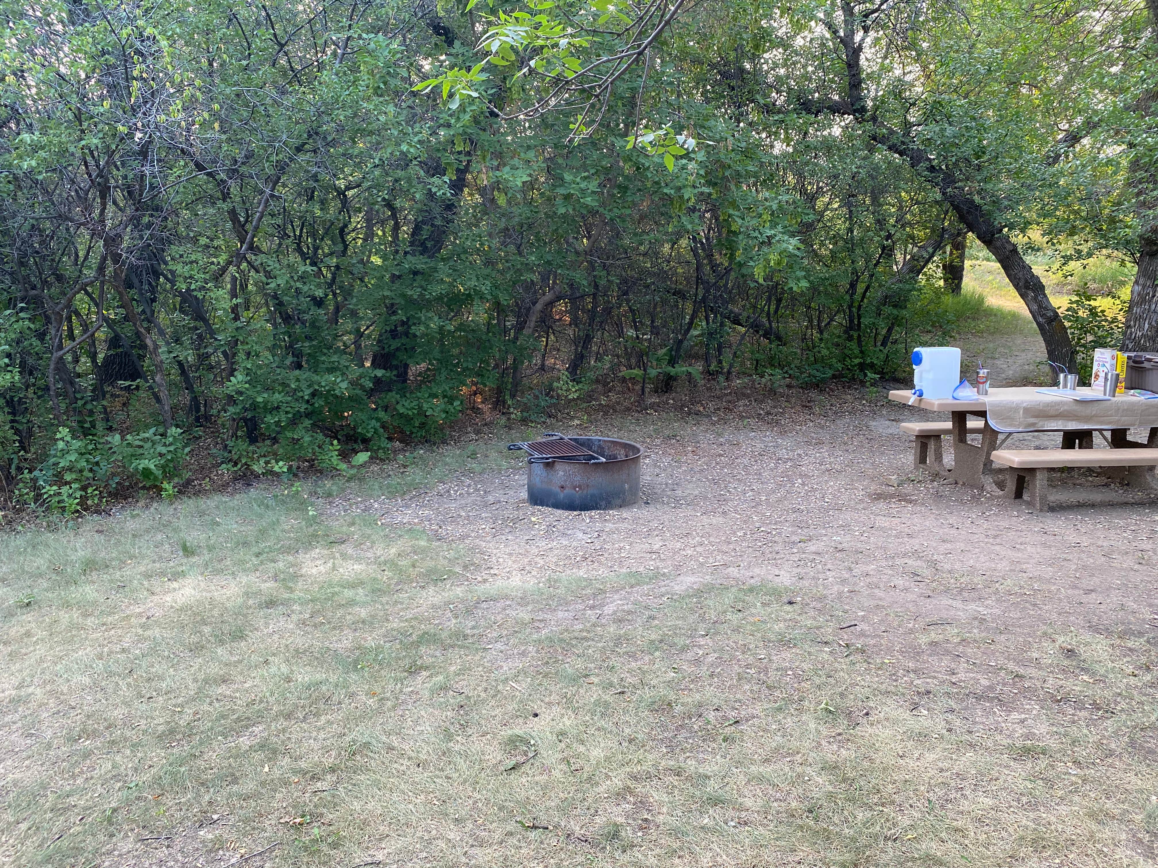 Escape to Serenity: Uncovering the Magic of North Dakota's Camel Hump Campground