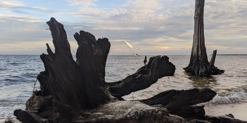 Camper submitted image from Short Stay Navy Outdoor Moncks Corner