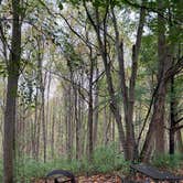 Review photo of Susquehanna State Park Campground by Rachael M., July 16, 2021