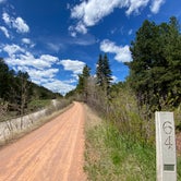 Biking the Mickleson Trail in nearby Hill City