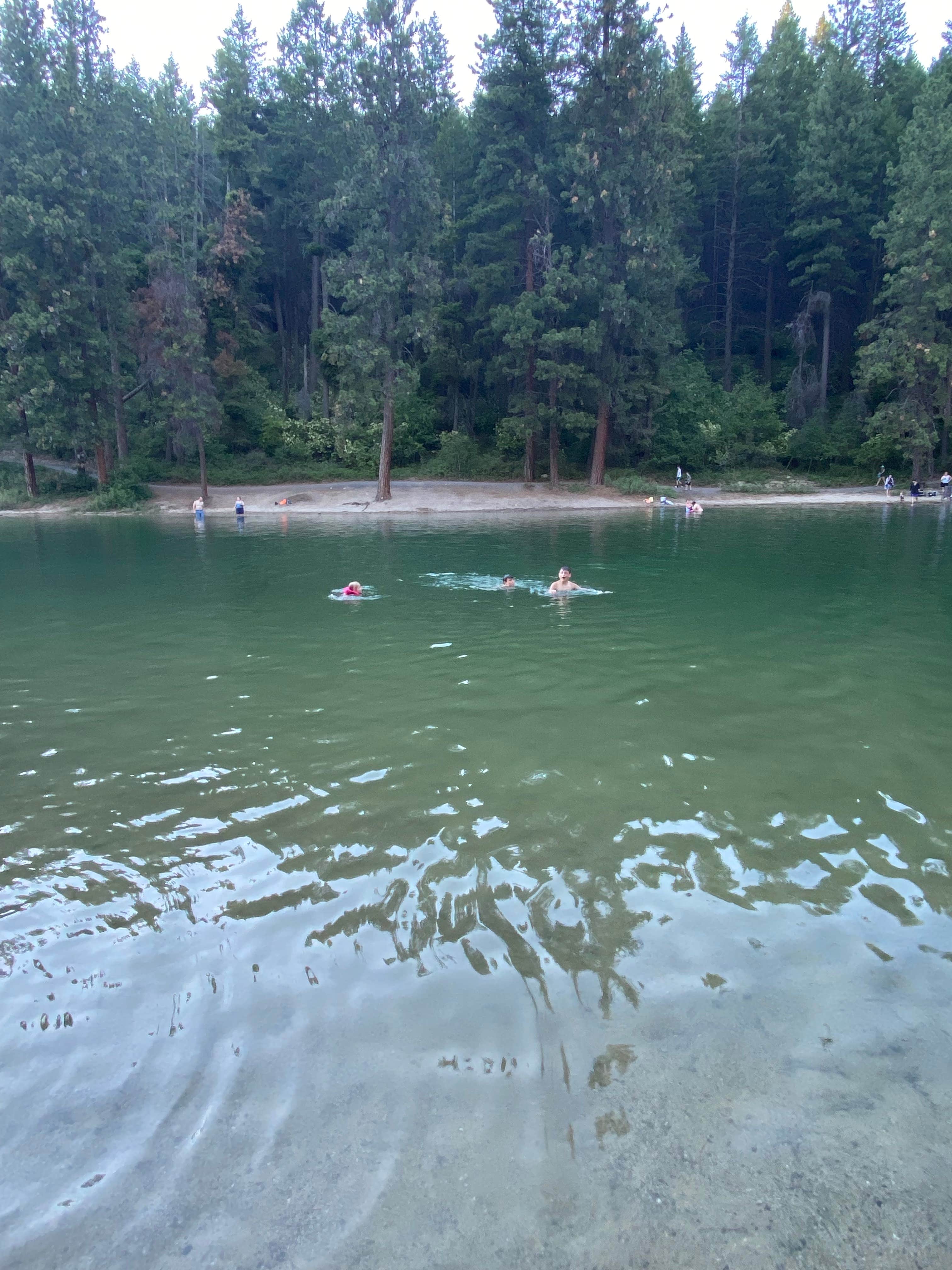 Camper submitted image from Waldron Campground — Farragut State Park - 2