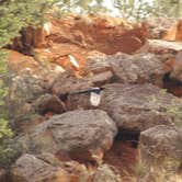 Review photo of Colorado Springs KOA by Grace , July 16, 2021