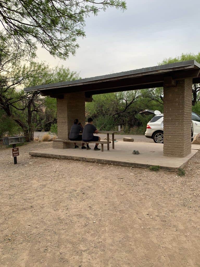 Camper submitted image from Rio Grande Village Campground — Big Bend National Park - 5