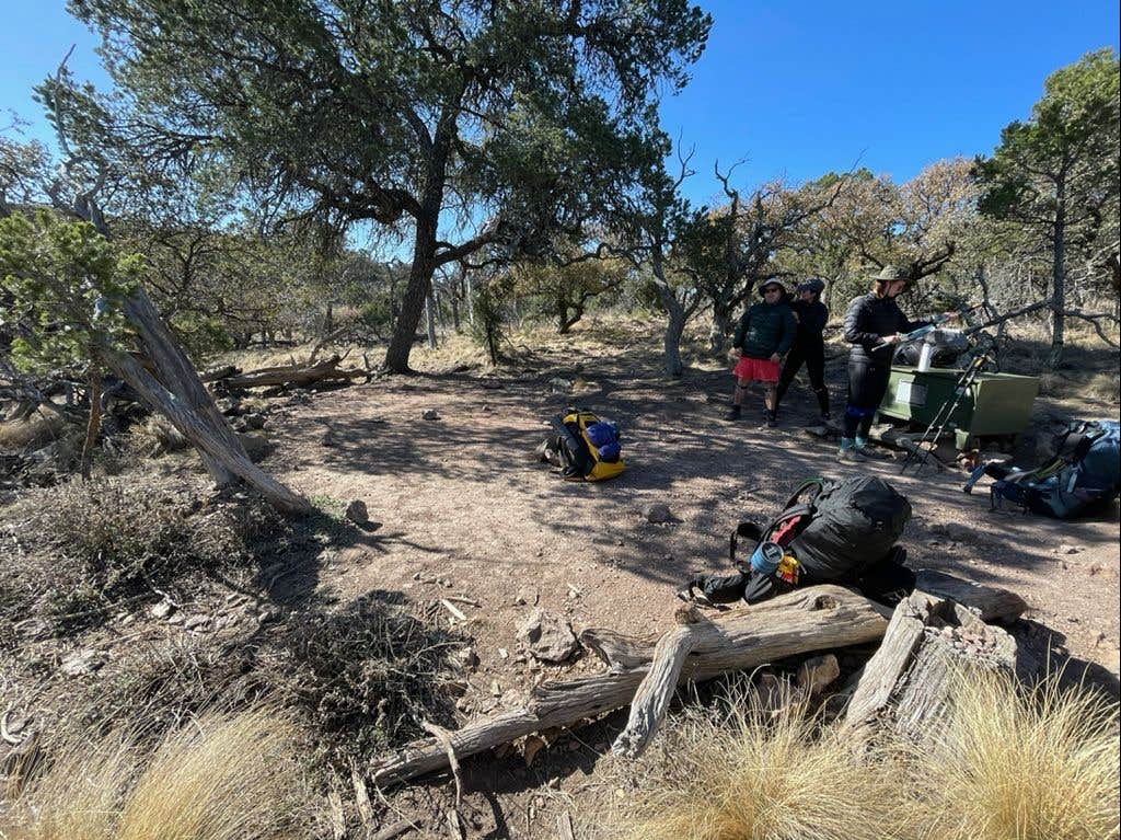 Camper-submitted photo at South Rim 4 Loop Backpacking Site — Big Bend National Park near Big Bend National Park