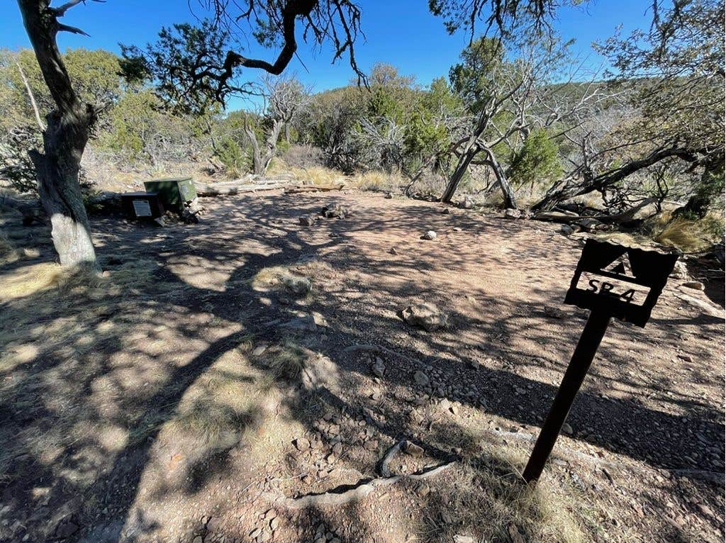 Camper-submitted photo at South Rim 4 Loop Backpacking Site — Big Bend National Park near Big Bend National Park