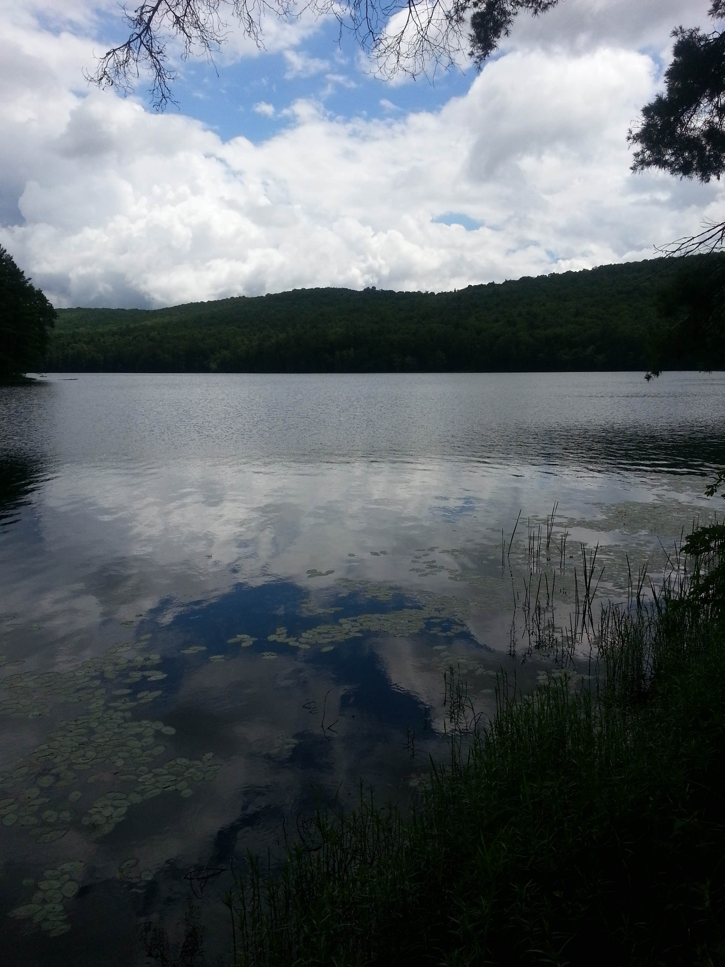 Lake Sherwood The Dyrt