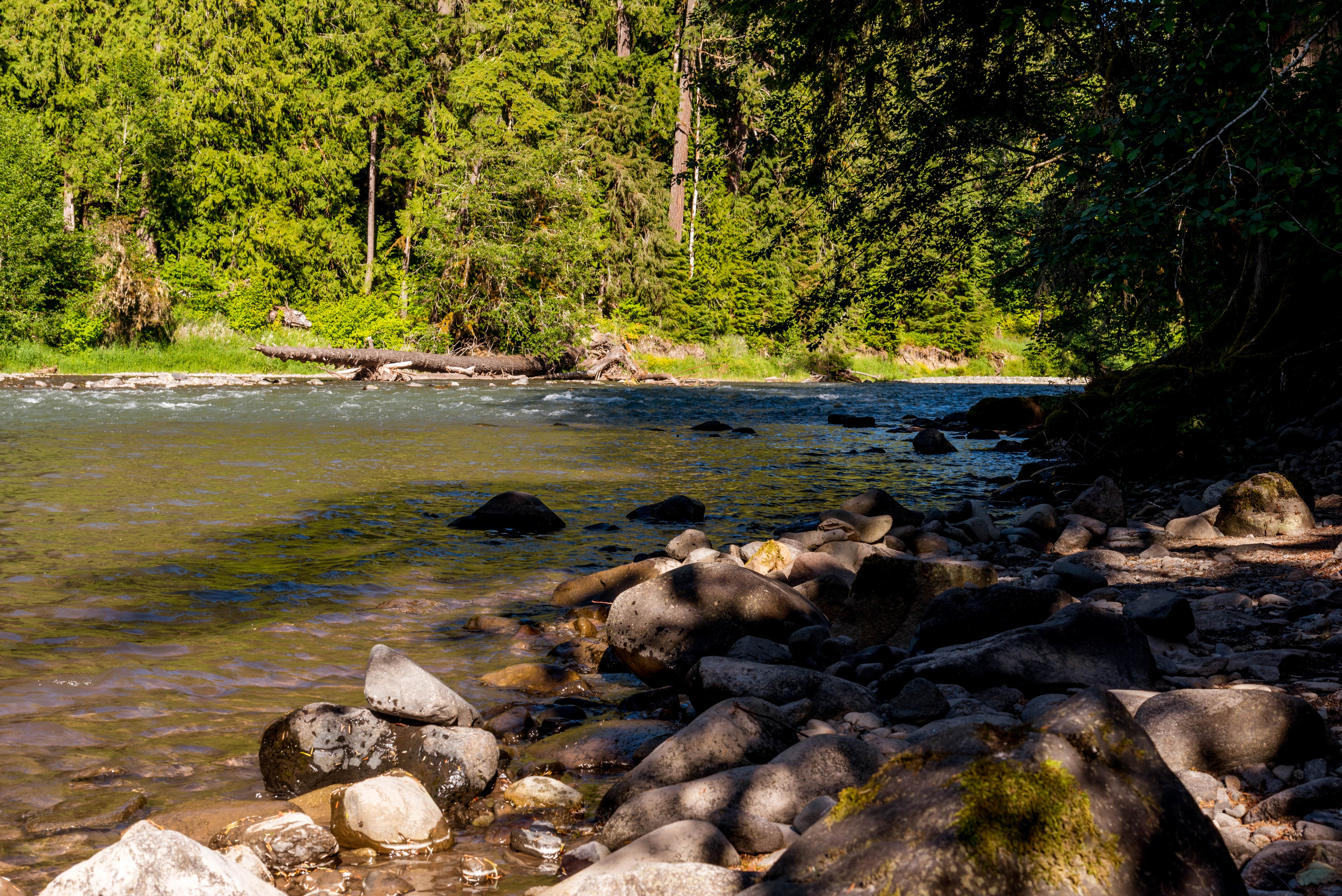 Iron Creek Campground The Dyrt