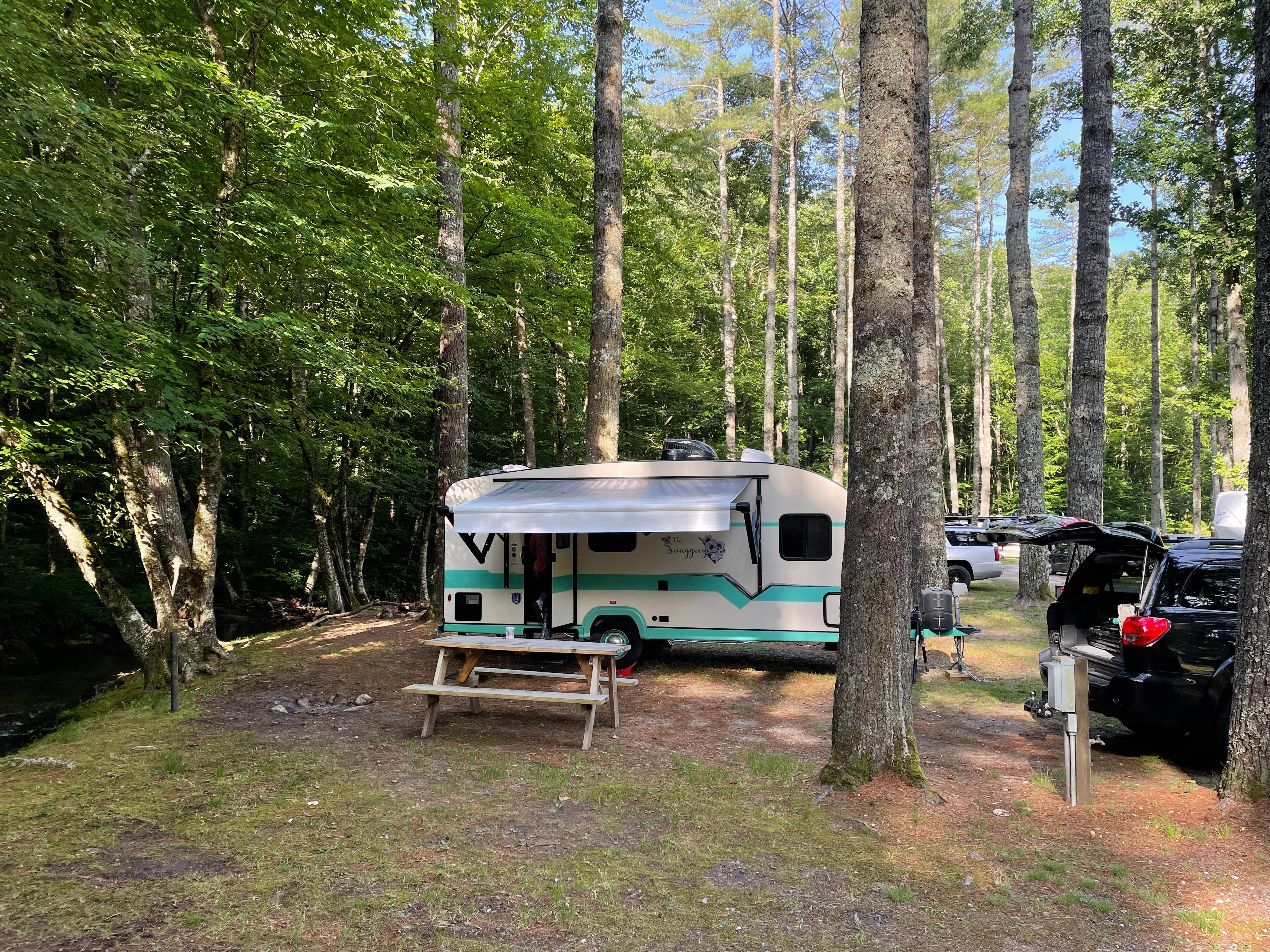 Megan D.'s photo at Trout Creek Campground near Cullowhee, NC