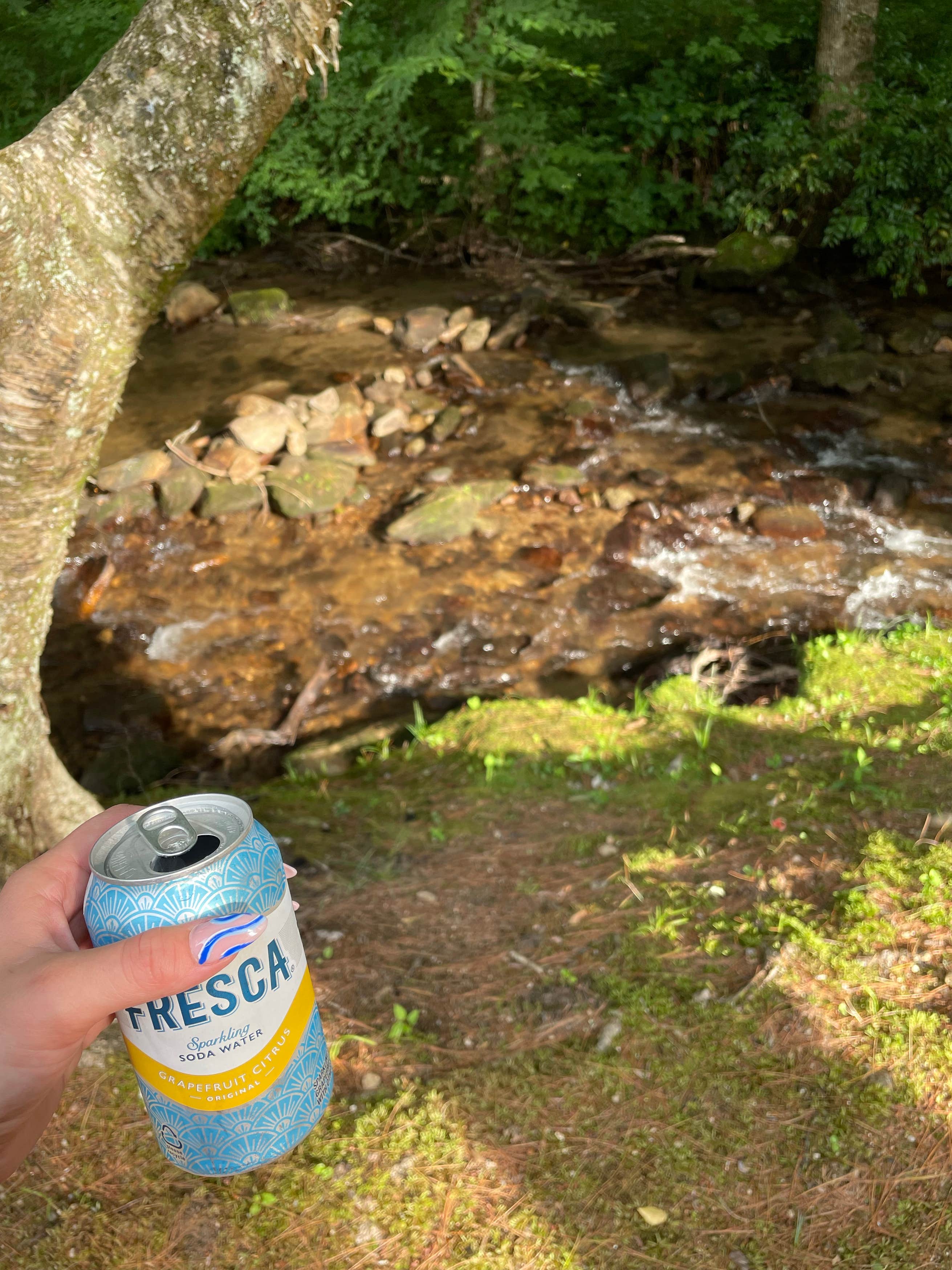 Trout Creek Campground The Dyrt