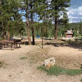 Review photo of DeMotte National Forest Campground by Lauren , July 16, 2021