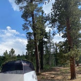 Review photo of DeMotte National Forest Campground by Lauren , July 16, 2021