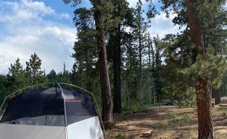 Lauren's photo at DeMotte National Forest Campground near Jacob Lake, AZ