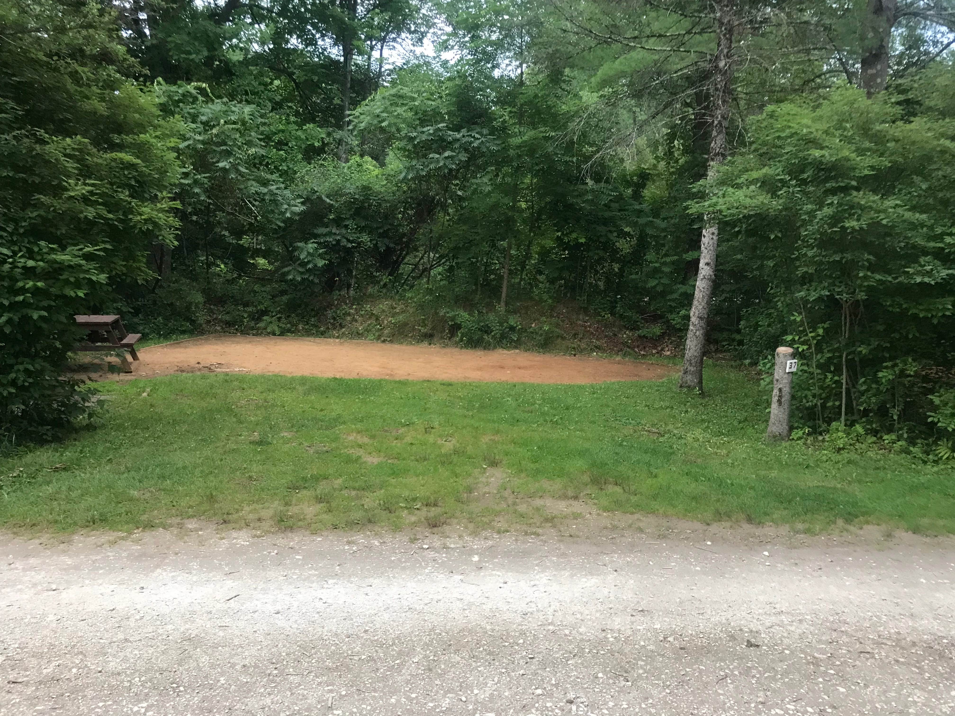 Camper submitted image from Shelburne Camping Area - 3