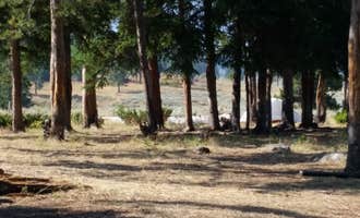 Camping near Colter Campground: 2S6 Backcountry Campsite — Yellowstone National Park, Silver Gate, Montana