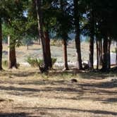 Review photo of 2S6 - Yellowstone NP backcountry campsite by Dexter I., July 17, 2021