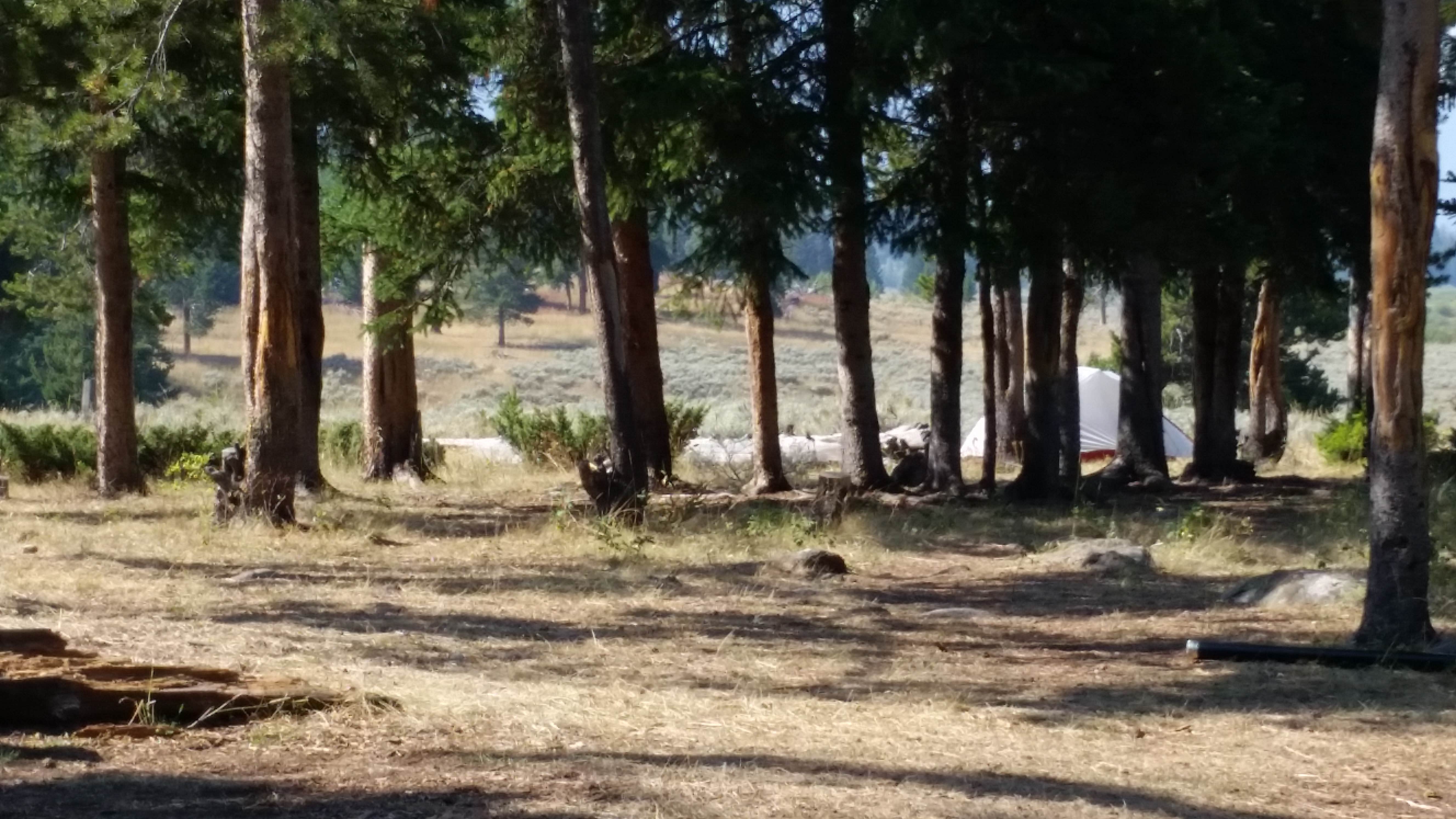 Camper submitted image from 2S6 - Yellowstone NP backcountry campsite - 1