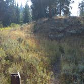 Review photo of 2S6 - Yellowstone NP backcountry campsite by Dexter I., July 17, 2021