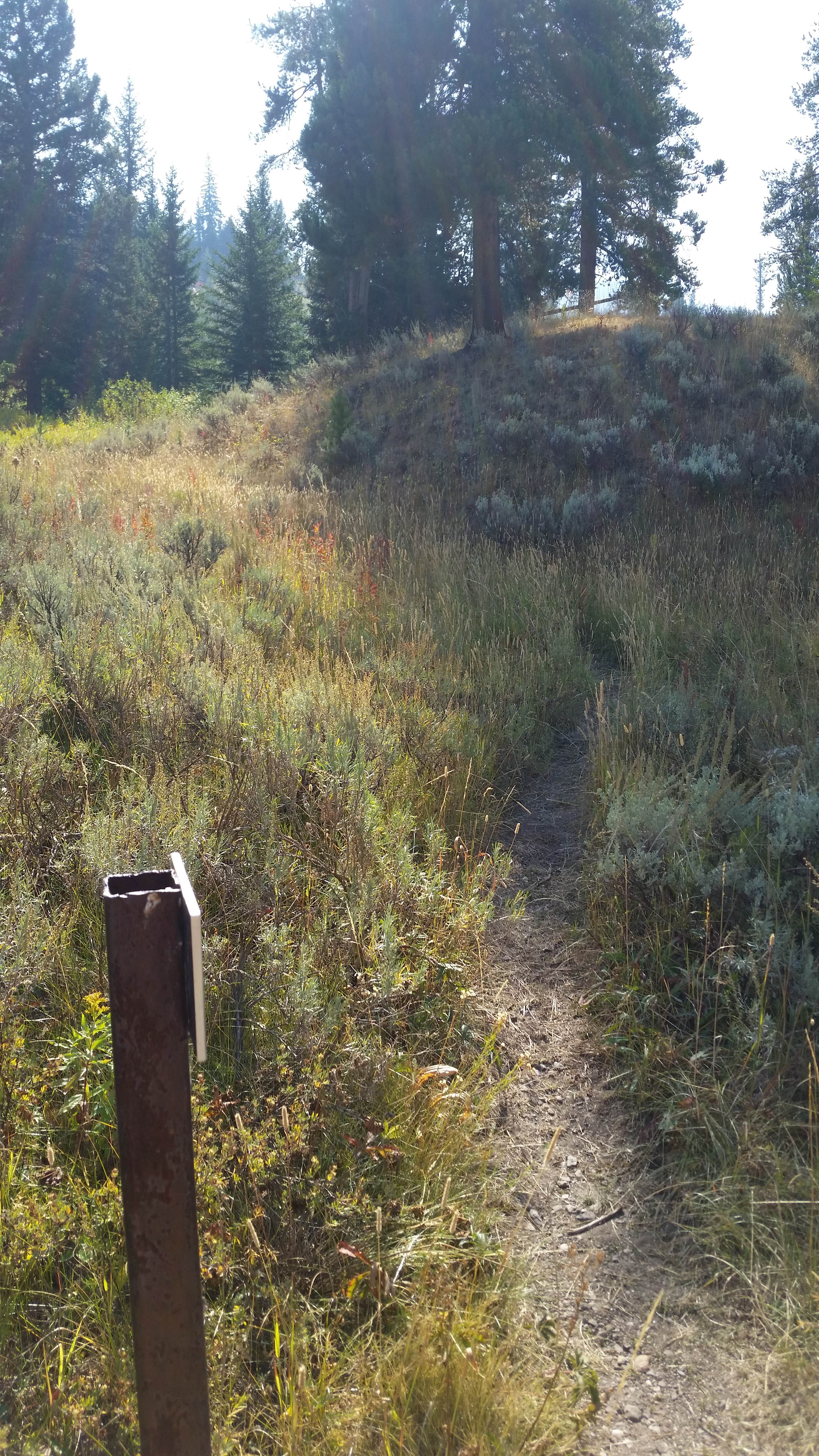 Camper submitted image from 2S6 - Yellowstone NP backcountry campsite - 3