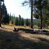 Review photo of 2S6 - Yellowstone NP backcountry campsite by Dexter I., July 17, 2021