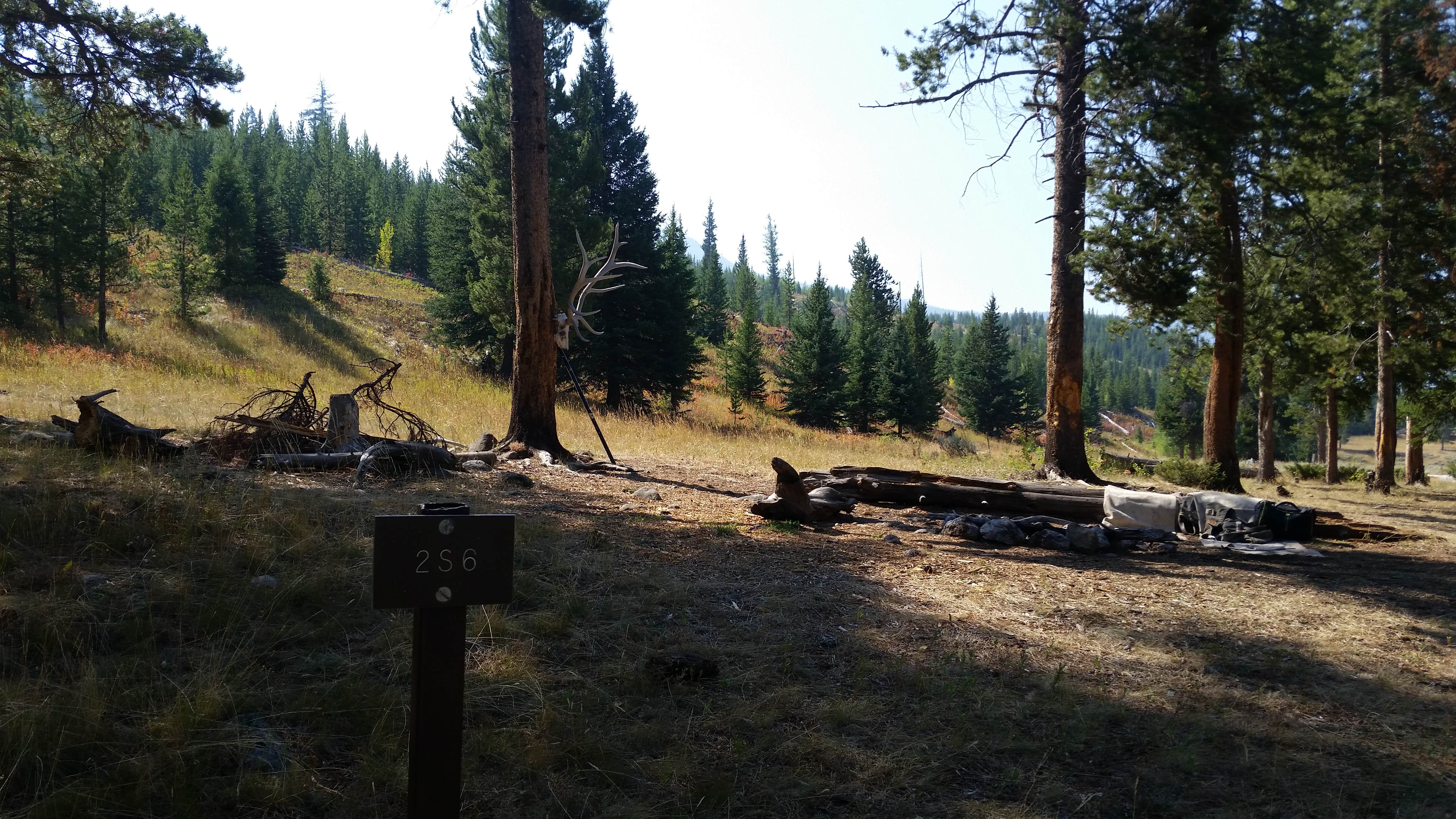 Camper submitted image from 2S6 - Yellowstone NP backcountry campsite - 2