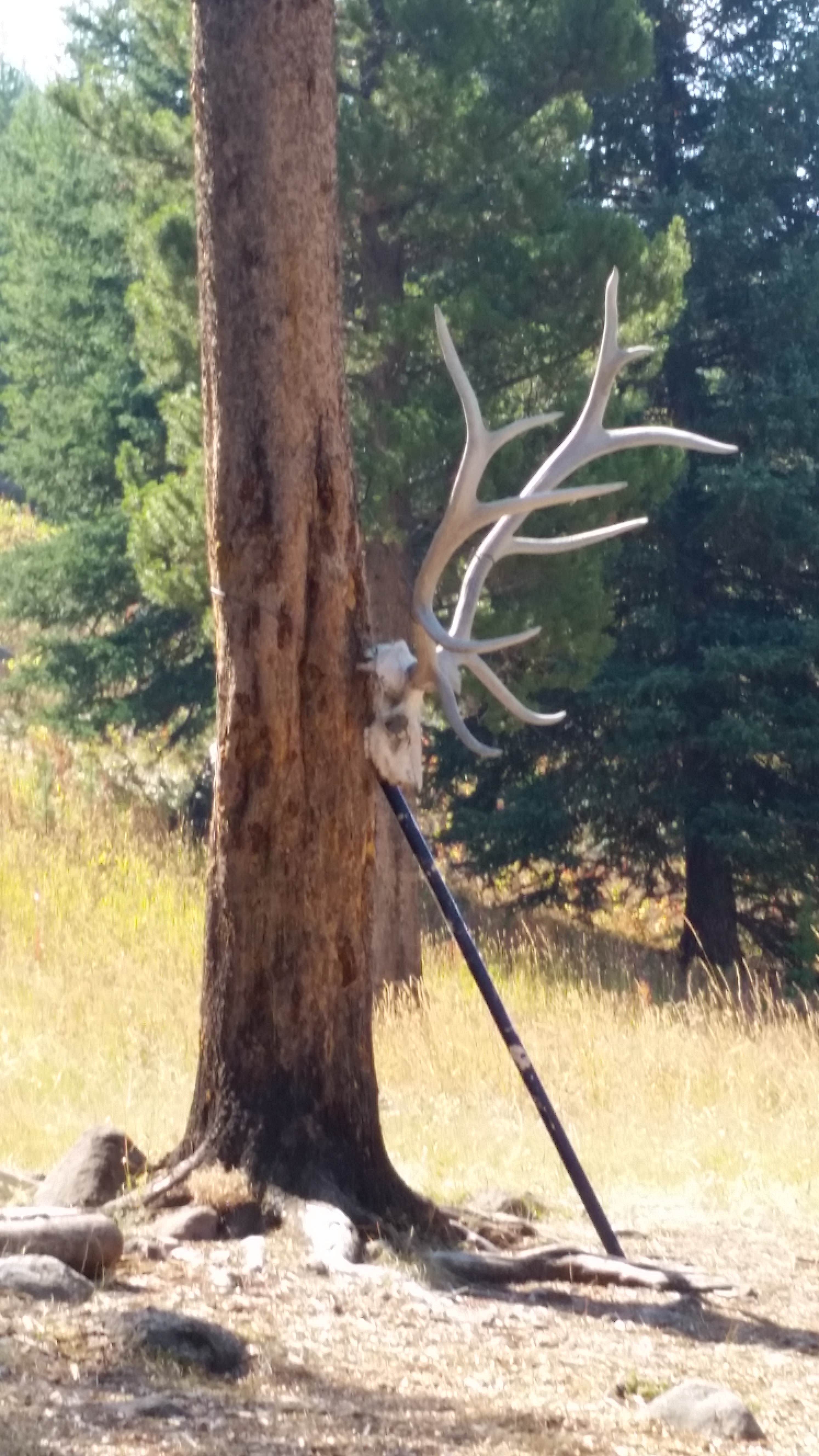 Camper-submitted photo at 2S6 Backcountry Campsite — Yellowstone National Park near Cooke City, MT