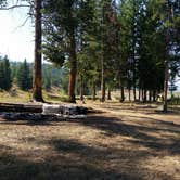 Review photo of 2S6 - Yellowstone NP backcountry campsite by Dexter I., July 17, 2021