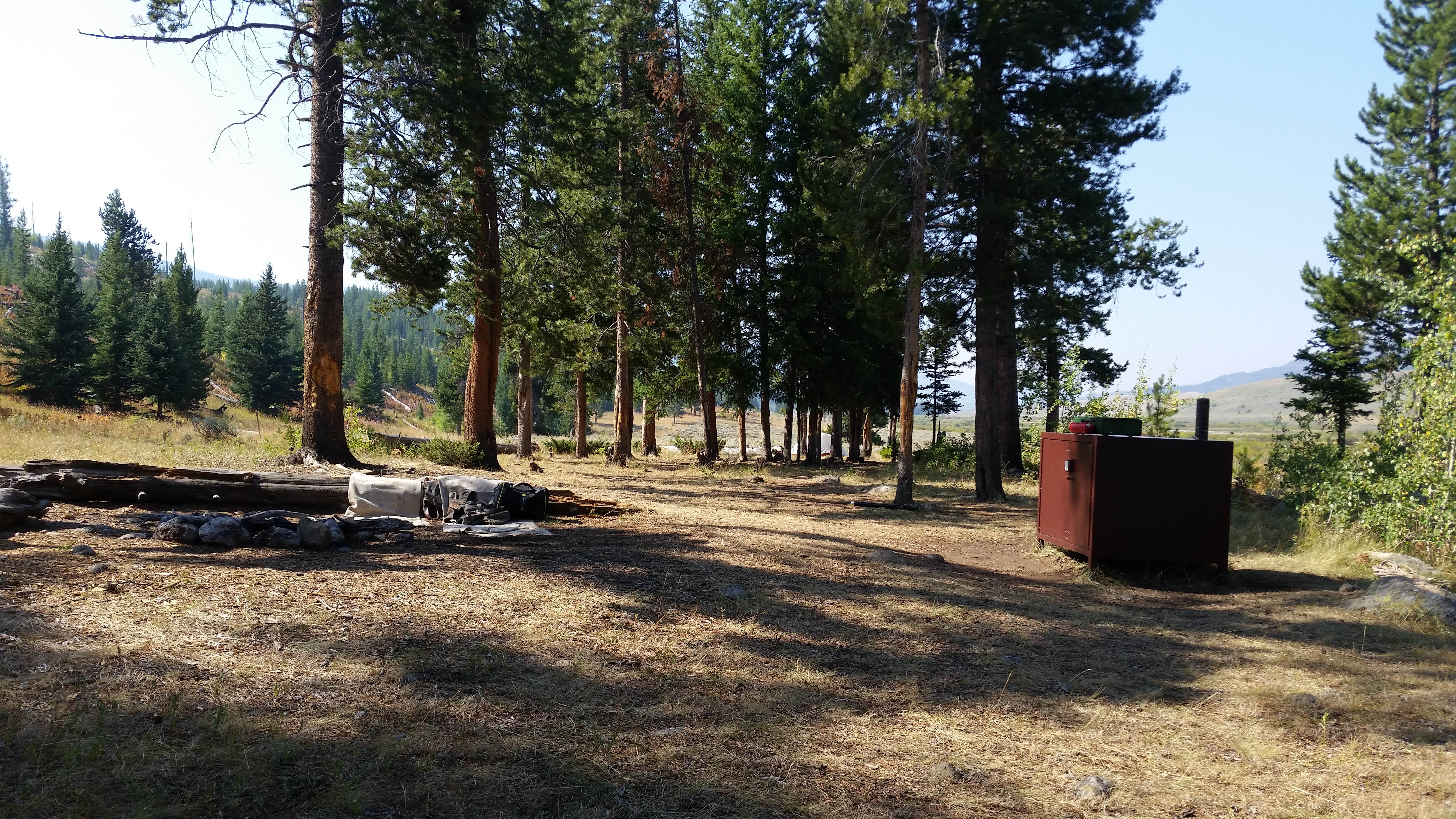 Camper submitted image from 2S6 - Yellowstone NP backcountry campsite - 4