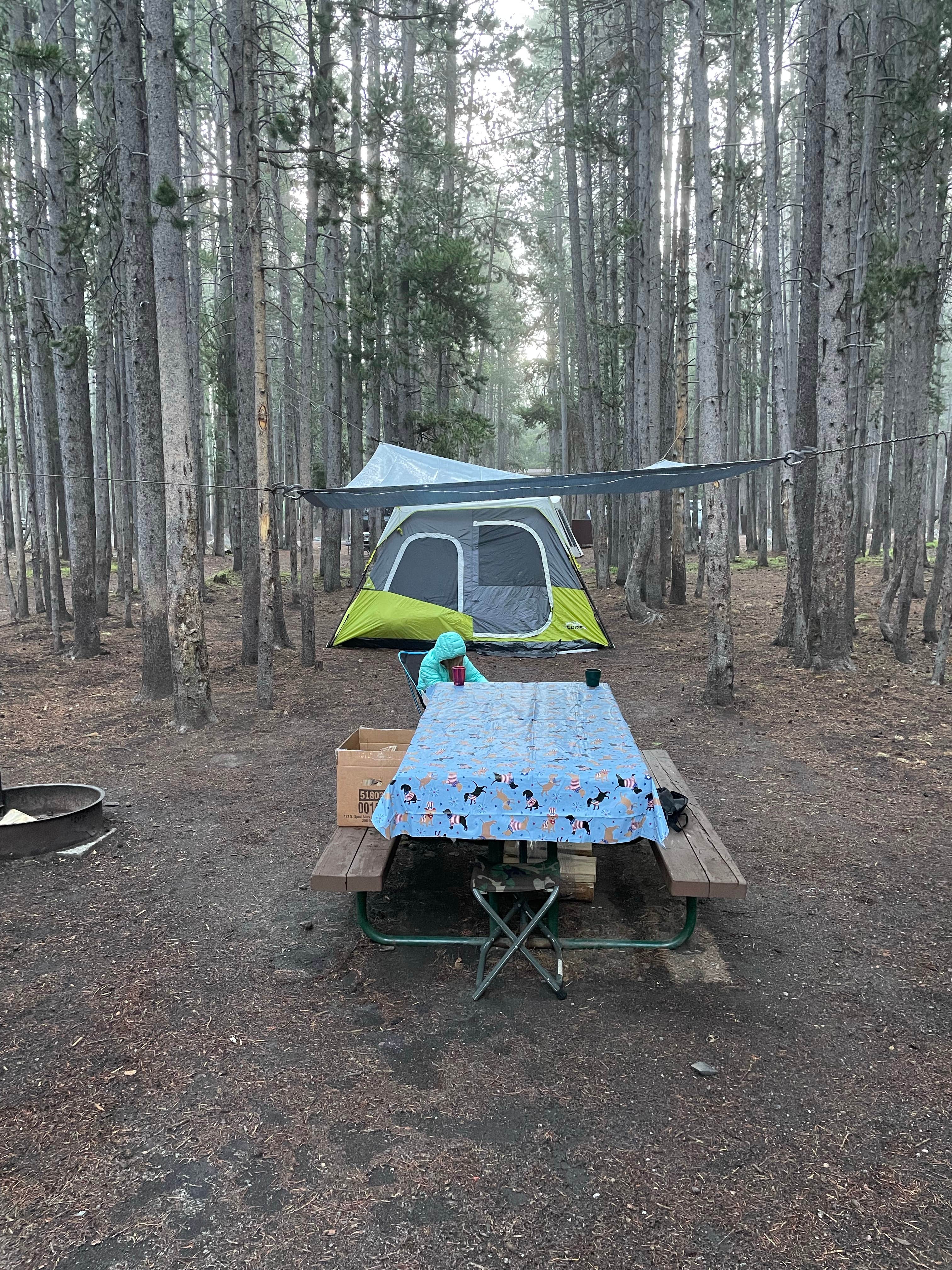 David M.'s photo at Canyon Campground — Yellowstone National Park near Yellowstone National Park