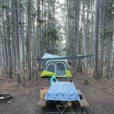 Review photo of Canyon Campground — Yellowstone National Park by David M., July 17, 2021