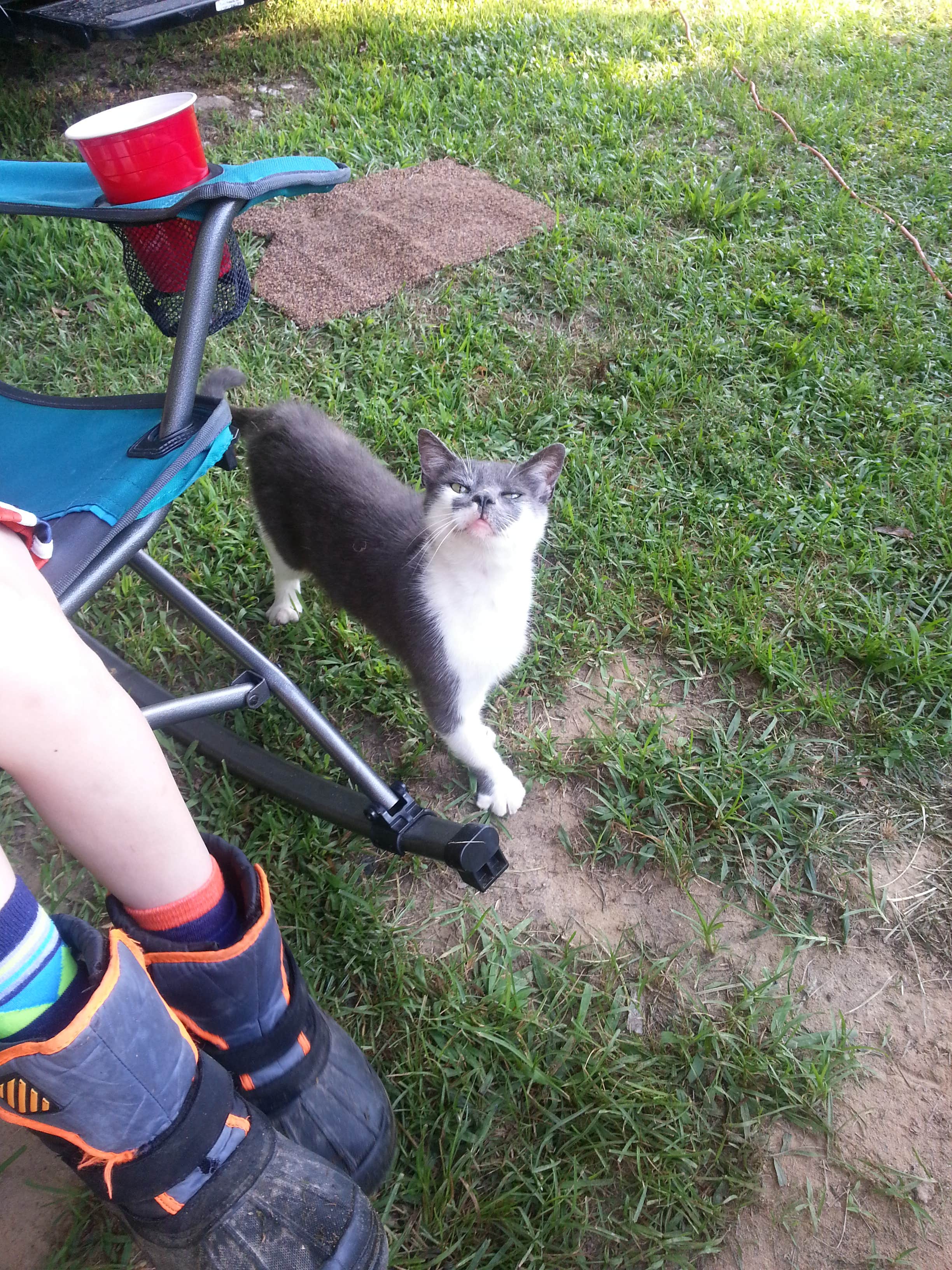 Camper-submitted photo at Ole Henry's Camping retreat near Lavalette, WV