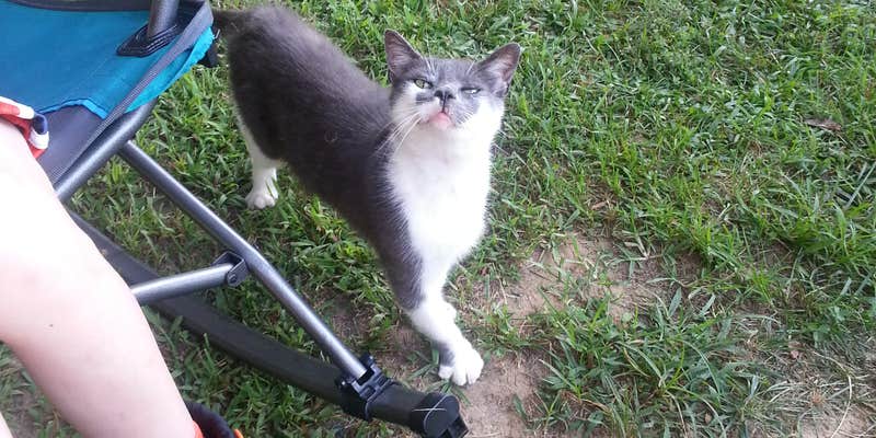 Camper submitted image from Ole Henry's Camping retreat