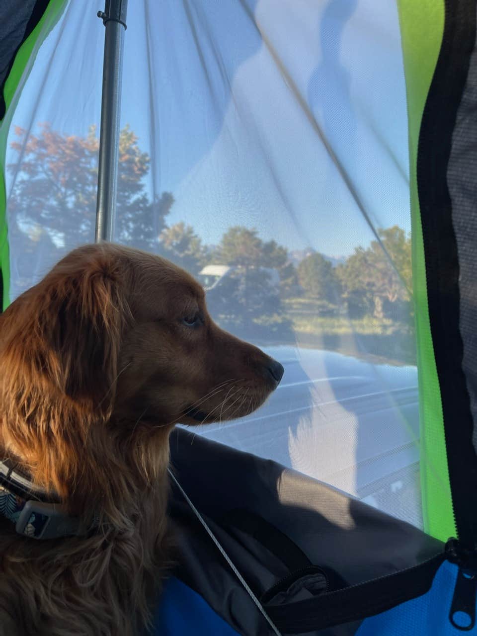 Kendall's photo of camping with pets at Elk Ridge Campground — Ridgway State Park near Montrose, CO