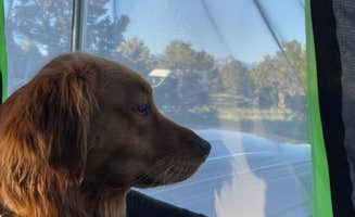 Kendall's photo of camping with pets at Elk Ridge Campground — Ridgway State Park near Ridgway, CO