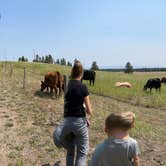 Review photo of Yellowstone Park / West Gate KOA Holiday by Joan , July 17, 2021