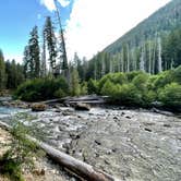 Review photo of Ohanapecosh Campground — Mount Rainier National Park by Xavier D., July 17, 2021