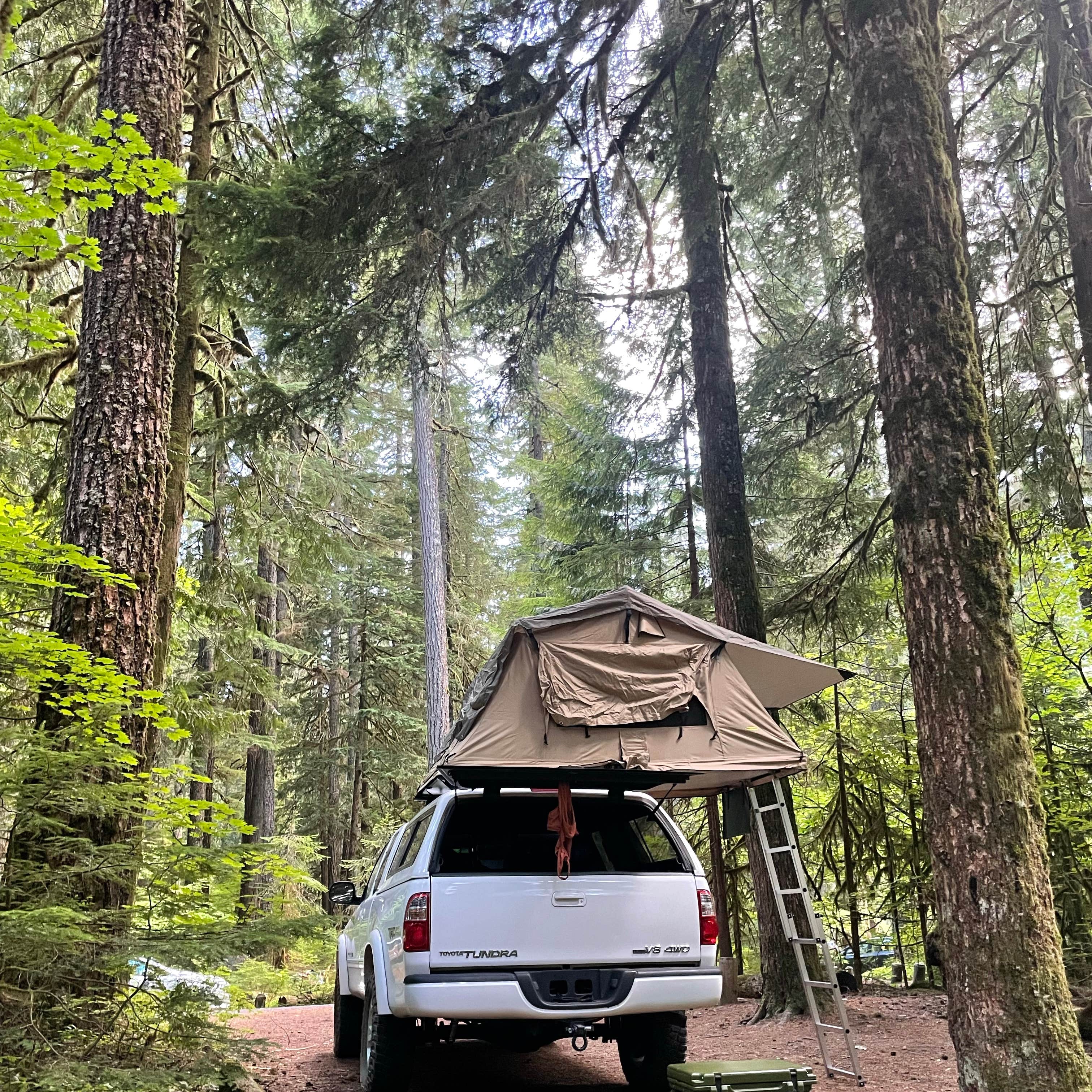 Ohanapecosh Campground — Mount Rainier National Park